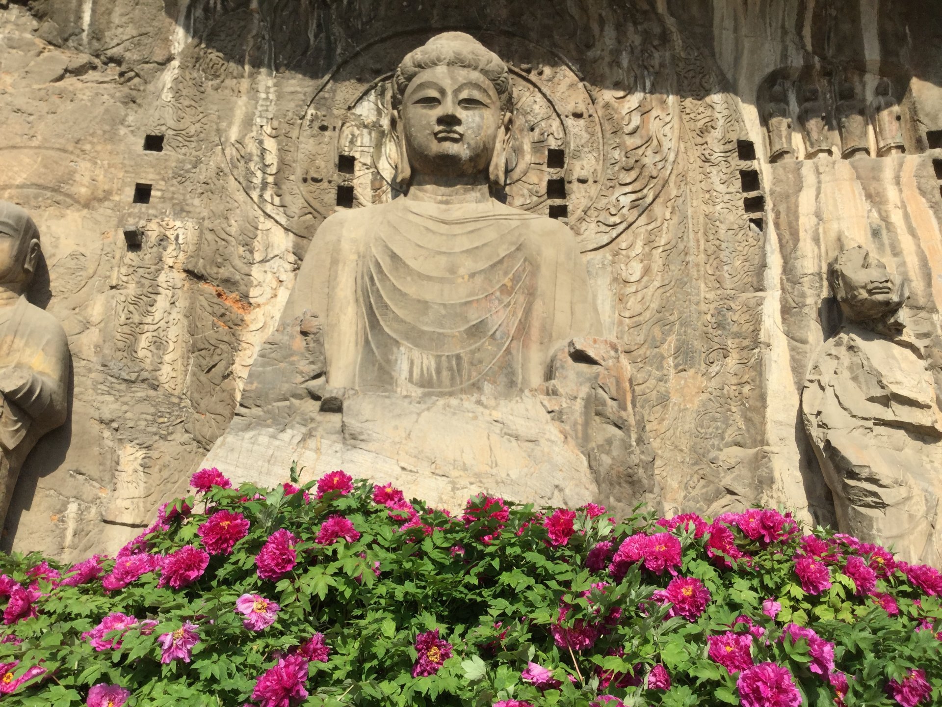 Lushena Buddha with peonies, Longmen Grottoes, Luoyang